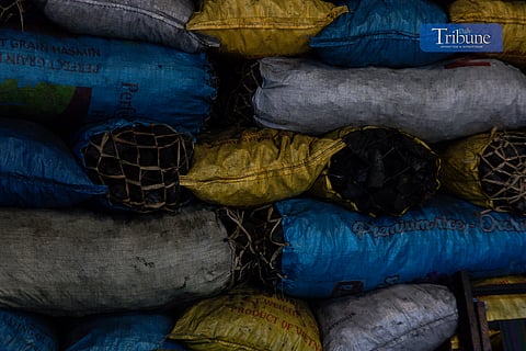 Workers can earn up to P500 a day packing coals