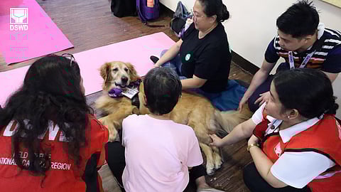 DSWD, PAWS 'Angel Pets' project revolutionizes animal-aided therapy