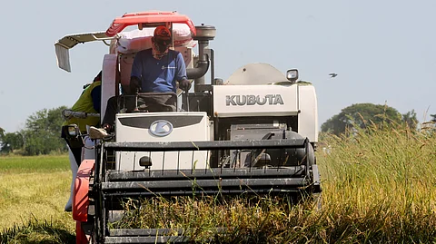 FARMERS toil under the hot sun, harvesting rice in Pulilan, Bulacan, as seen in this file photo. The House is investigating the high cost of rice in the market despite the reduction of tariffs.