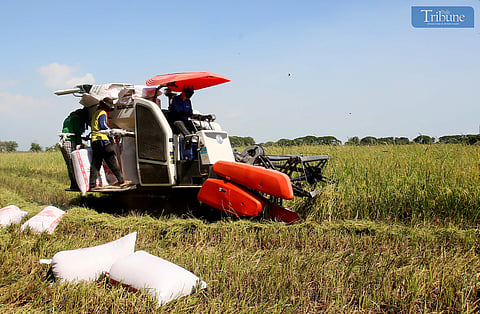 Phl agriculture logs fastest growth since 2017