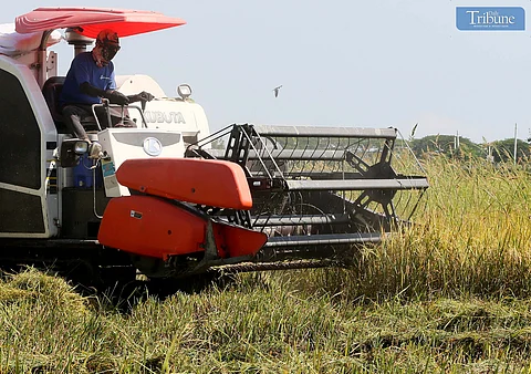 Agri output rebounds 5.7% in Q2