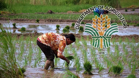 PROPOSED bill to restore NFA’s key functions aims to secure buffer stocks, set palay floor price, and ensure affordable rice