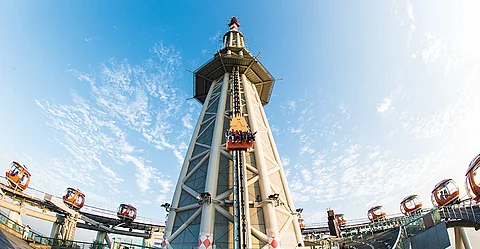 The classic “Sitting Drop” or the ultra-daring “Standing Drop.”