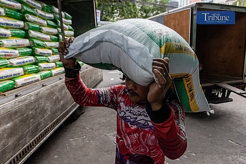 Workers load and unload sacks of rice along Dagupan Street in Divisoria, Manila, on Wednesday, 18 December 2024.
The Department of Agriculture (DA) revealed Tuesday that rice imports may hit a record high of 4.7 million metric tons by year-end to address the impact of natural disasters on local palay production.