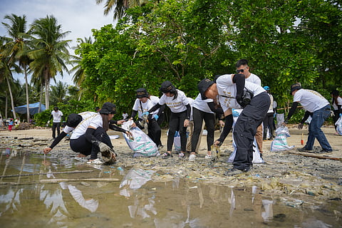 TOYOTA Motor Philippines volunteers pick up trash from the beach of Samal Island.