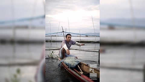 Tilapia fisherman in Lake Buluan