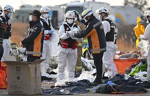 Firefighters and rescue personnel work near the scene where a Jeju Air Boeing 737-800 series aircraft crashed and burst into flames at Muan International Airport in South Jeolla Province, some 288 kilometres southwest of Seoul on December 29, 2024. A Jeju Air plane carrying 181 people from Bangkok to South Korea crashed on arrival December 29, colliding with a barrier and bursting into flames, with only two survivors rescued so far and 120 confirmed dead.
JUNG YEON-JE / AFP