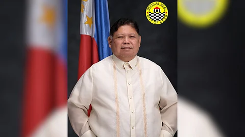 Photo courtesy of Noel Wenceslao - Cebu City Councilor account | Facebook