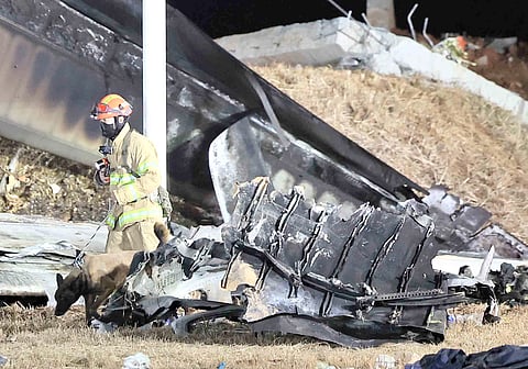 A firefighter and a dog work near the scene where a Jeju Air Boeing 737-800 crashed and burst into flames at Muan International Airport in South Jeolla Province on Sunday. The Jeju Air plane, carrying 181 people from Thailand to South Korea, crashed on arrival, smashing into a barrier and catching fire.