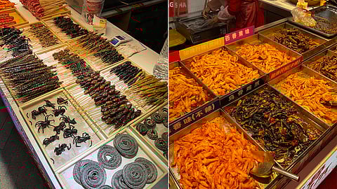 Exotic foods at Wuyi Square & Street food scene at Changsha.