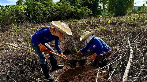 The event will also facilitate understanding on environmental and related challenges and identify potential opportunities for cooperation between the Philippines and Japan in the growing green business.