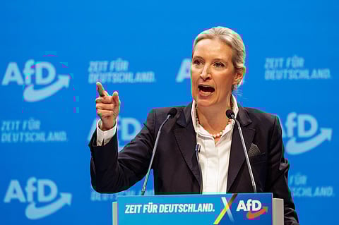 Weidel condemned the protestors outside as 'a left-wing mob' © JENS SCHLUETER / AFP