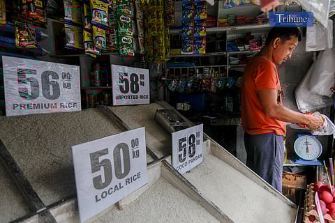 A merchant sells rice in a store at Arayat Market, Quezon City. Prices of rice are still on stand by according to a rice seller. The Department of Agriculture (DA) is hiking its efforts to make rice more accessible and affordable for Filipinos by expanding the Rice-for-All program posted on their website on Monday, 13 January 2025.
They have added that they will be opening additional KADIWA ng Pangulo kiosks in public markets and train stations, and collaborating with local government units (LGUs) nationwide to distribute rice at fair prices, including the P29 rice program for vulnerable sectors.