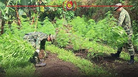 P2-M weeds burnt in Benguet, Kalinga