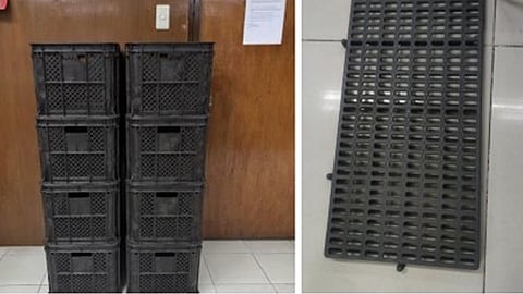 D&L launches plant fiber-plastics tech