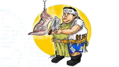 Bicam, budget menace