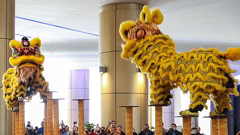 Lion Dance on high poles.