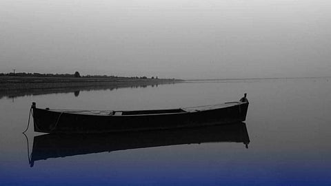 6 trafficking victims rescued