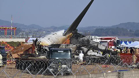Bird feathers, bloodstains found
in Jeju jet engines