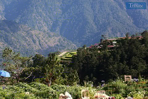 Houses surrounded by vegetable plots were spotted in Atok, Benguet, on Thursday, 23 January 2025.