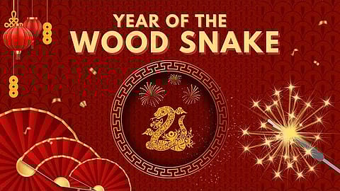 Forecast for the 2025 Year of the Wood Snake