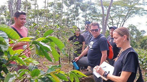 U.S.-based ‘Biggby’ eyes Bukidnon beans
