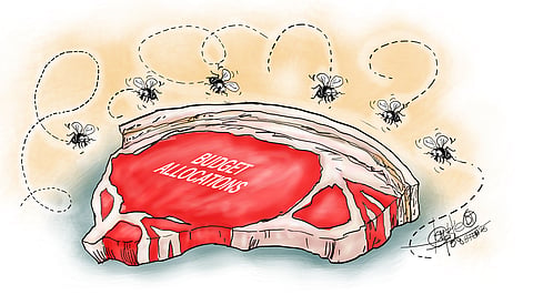 Pork barrel politics