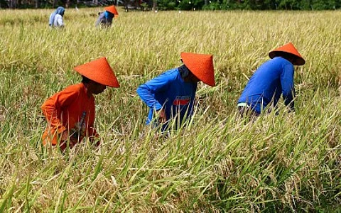 DAR distributes land titles to beneficiaries