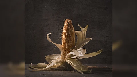 Sample of Savo’s still-life work.