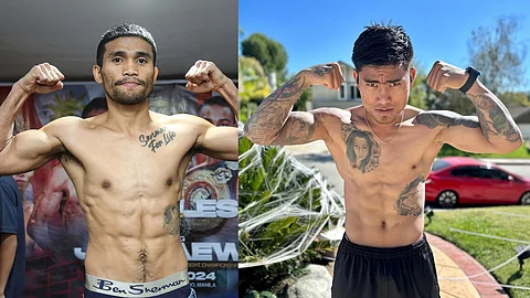 Marlon Tapales and Mark Magsayo are the highest-rated Filipino fighters in the latest ratings released by the WBC.