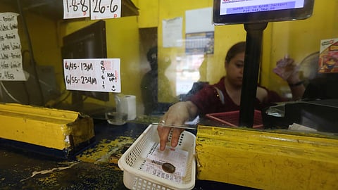 Lotto winners’ data safe — Robles