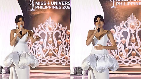 2013 Miss Universe Third runner up is the new Miss Universe Philippines National Director