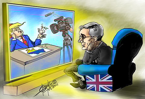 Cats marching in formation