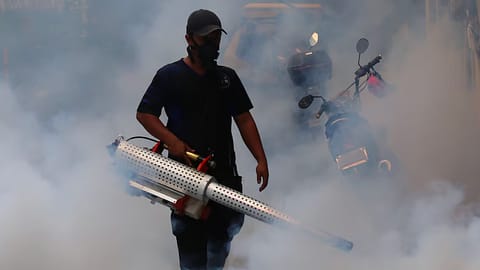 (FILES) Fogging is one of the strategies to fight dengue.