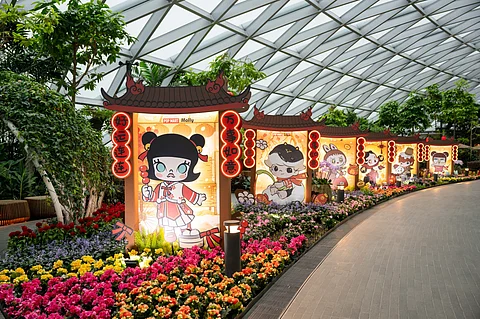 Experience the magic of Pop Mart at Jewel Changi Airport