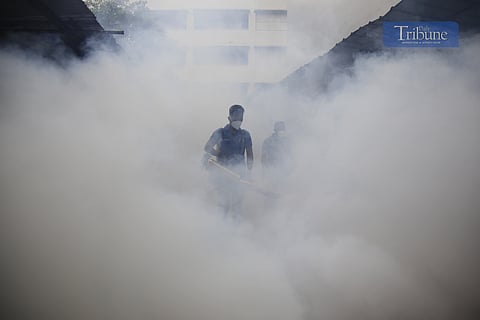 Dengue cases in QC surge 150%