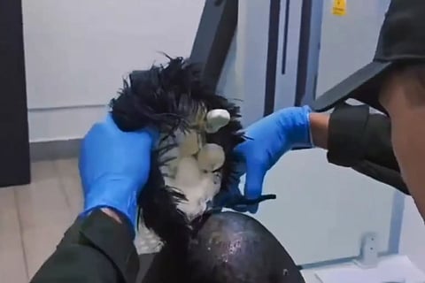 Colombian man arrested for smuggling cocaine under wig