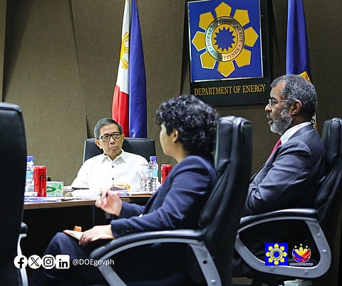 DoE taps OECD-NEA for nuke potential