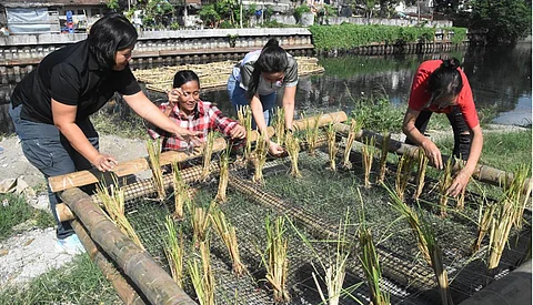 Ex-Army nurse launches grassroots health program