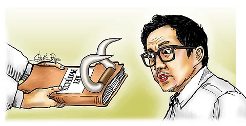 Take bull by the horn