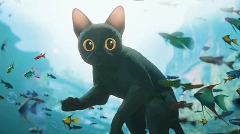 'Flow' makes Latvian cinema history after Oscar win for Best Animated Feature