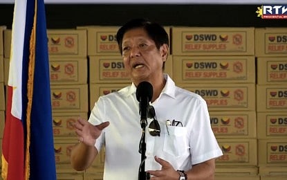 President Ferdinand Marcos Jr.