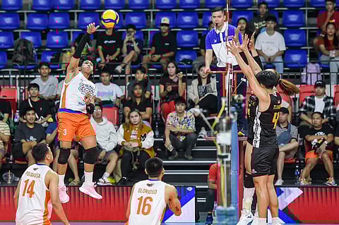 Cignal, Criss Cross clash for solo lead
