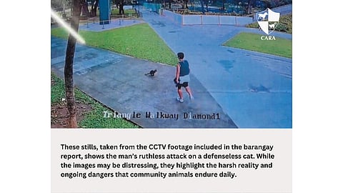 Ken was simply resting when he was brutally attacked. Advocates now demand justice for his tragic death.