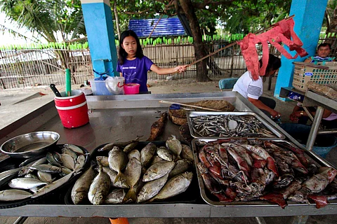 FISH of various species and sizes are sold at the Fish Port in Barangay Sabang of Morong, Bataan. The Philippines is currently experiencing dwindling fish stocks due to illegal, unreported and unregulated fishing. Local fisherfolk are urging the government to intensify their thrust in protecting the marine ecosystem and livelihood of small-scale fishers.