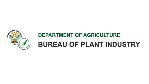Plant bureau files complaint vs reported illegal onion import