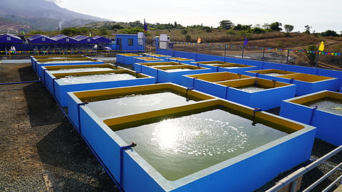 The Department of Agriculture-Bureau of Fisheries and Aquatic Resources inaugurated and blessed the Legislated Multi-Species Marine Hatchery in Barangay Quinawan, Bagac, Bataan. The P32-million facility is expected to boost fish seed production, support aquaculture enterprises and enhance marine resource sustainability in Bataan and neighboring provinces.