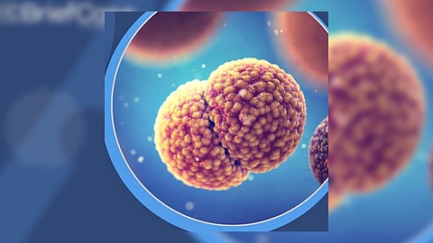 INVASIVE Meningococcal Disease poses a serious threat to high-risk populations.