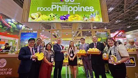 DA tackles banana export challenges with Japan