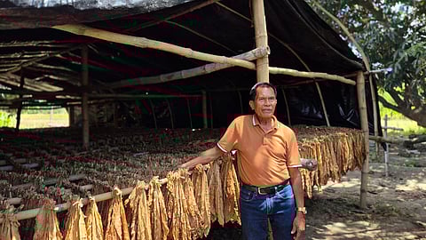 Saturnino ‘Ka Turning’ Distor, president of the Philippine Tobacco Growers Association calls for government intervention to combat illicit tobacco trade.